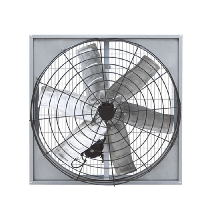 Hvordan vælger man en effektiv bælteventilator til husdyr og industrielle ventilationsbehov?